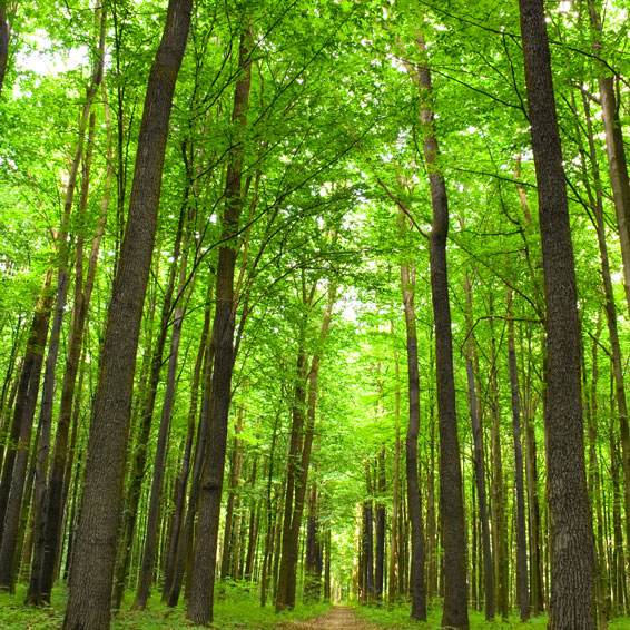 Dotation climat : l’Etat sera-t-il clément ?