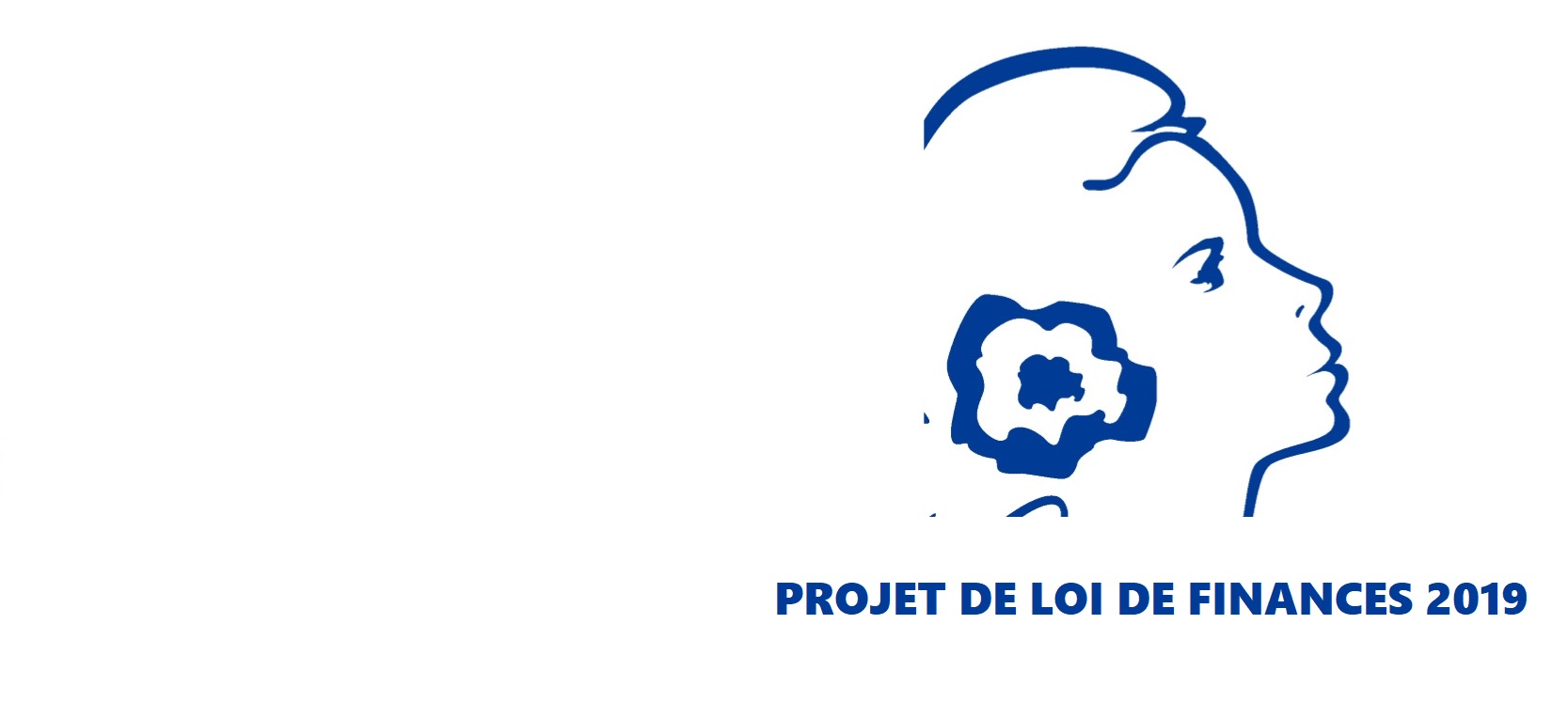 PLF 2019 : tout savoir sur les dispositions concernant les collectivités territoriales