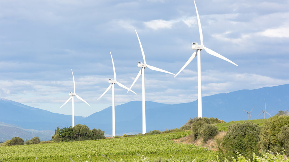 Transition énergétique : le Gouvernement veut accélérer le développement de projet éolien