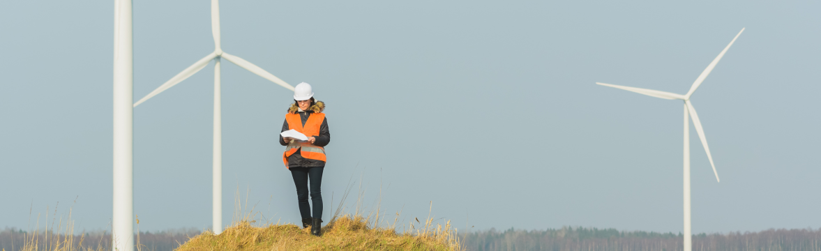 Transition écologique : 900 mille emplois à la clé