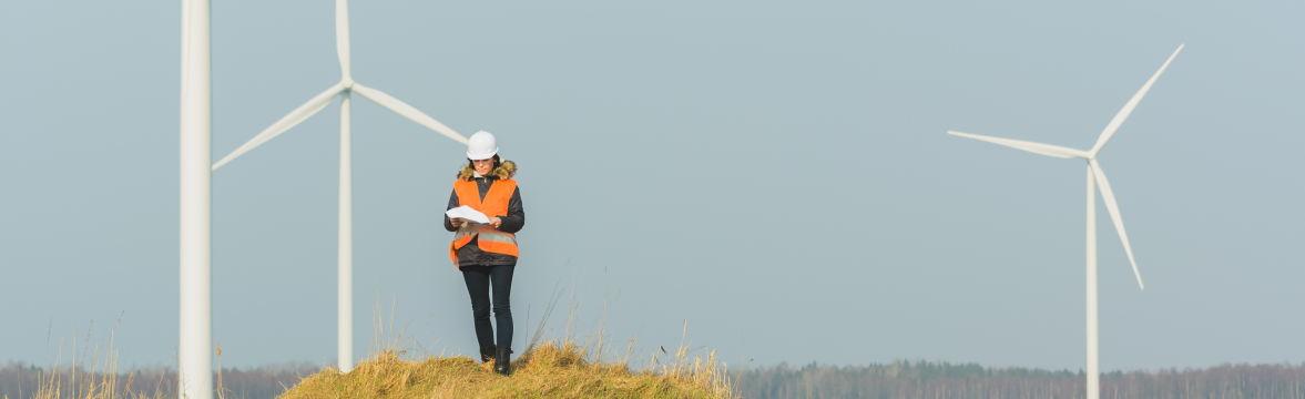 Transition écologique : 900 mille emplois à la clé