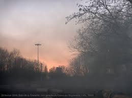 Pollution de l’air : la responsabilité de l’Etat reconnue
