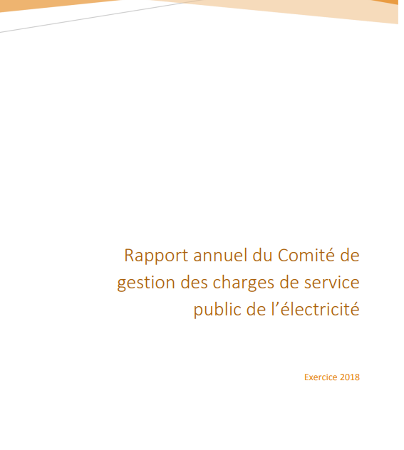 Energies renouvelables : sortie du premier rapport annuel sur les charges de service public de l’électricité