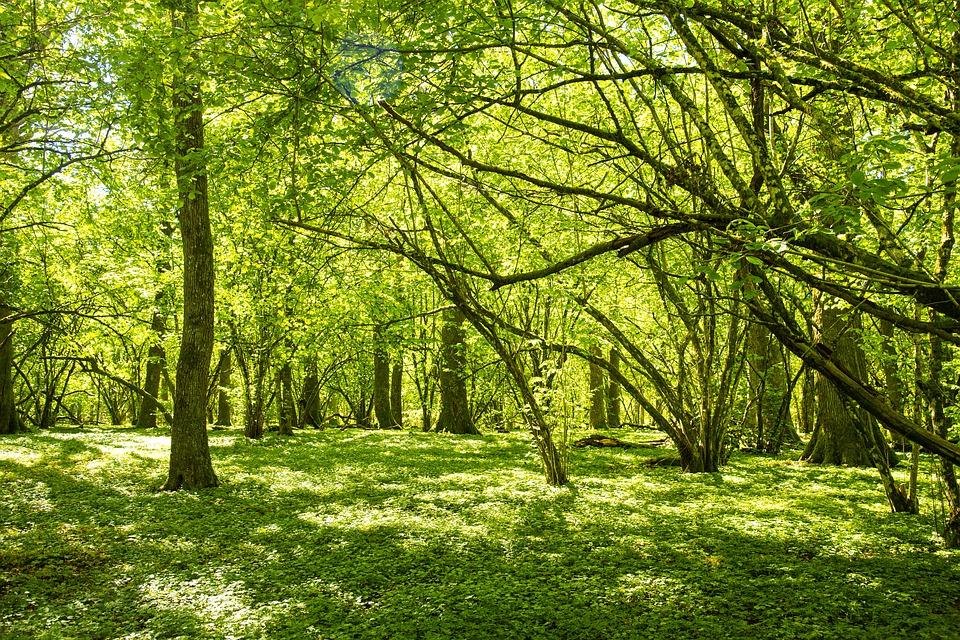 Biodiversité : le projet de loi portant création de l’Office français de la biodiversité validé en CMP