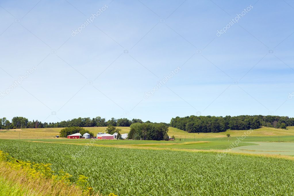 Conseil scientifique France Ruralités : une nouvelle instance scientifique au service de la ruralité et des petites villes