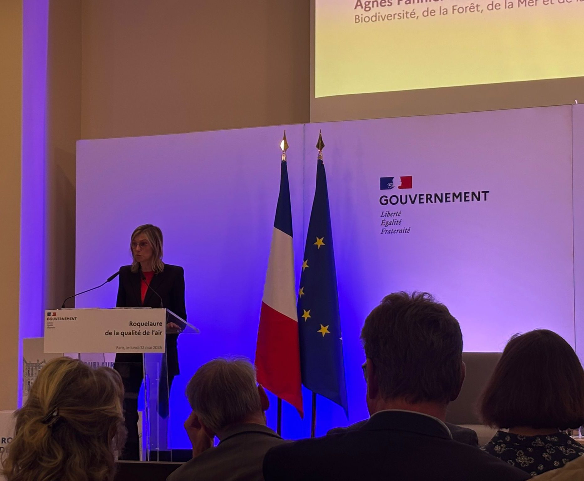 Pollution de l'air : l'État lance une mobilisation renforcée