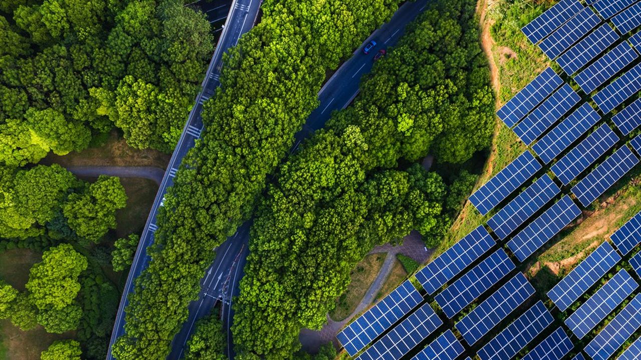 Transition écologique : un enjeu électoral désormais décisif dans les communes